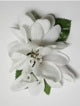 Plumeria hair clip<br> #35 White