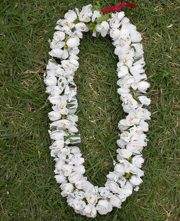 Full Shell Ginger leis - White #35